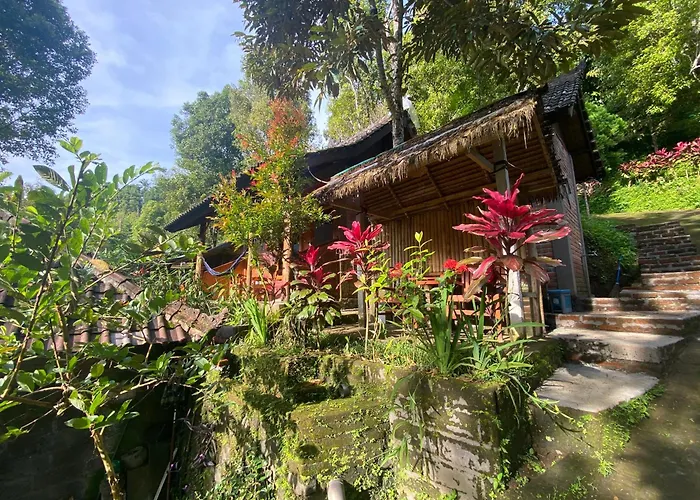 Buda's Lemukih *
